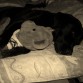 le encanta dormir a la orilla de mi cama
